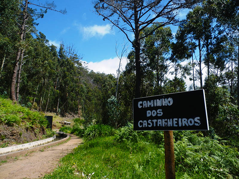 Levada de Calheta à Prazeres